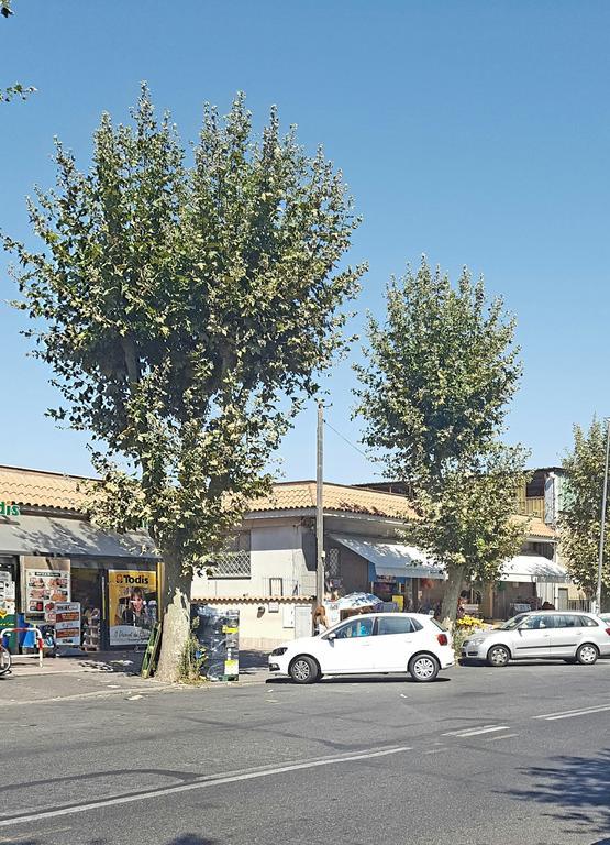 Casa Vacanze Giramondo Fiumicino Dış mekan fotoğraf